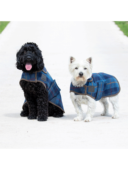 Digby & Fox Tweed Dog Coat