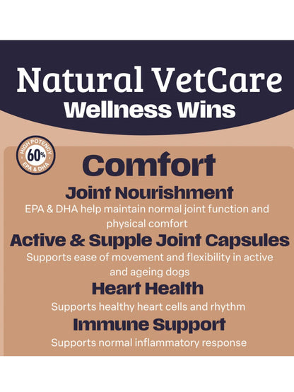 Comfort Oil- Natural Vet Care