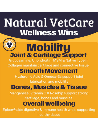 Daily Mobility Chews - Natural Vet Care